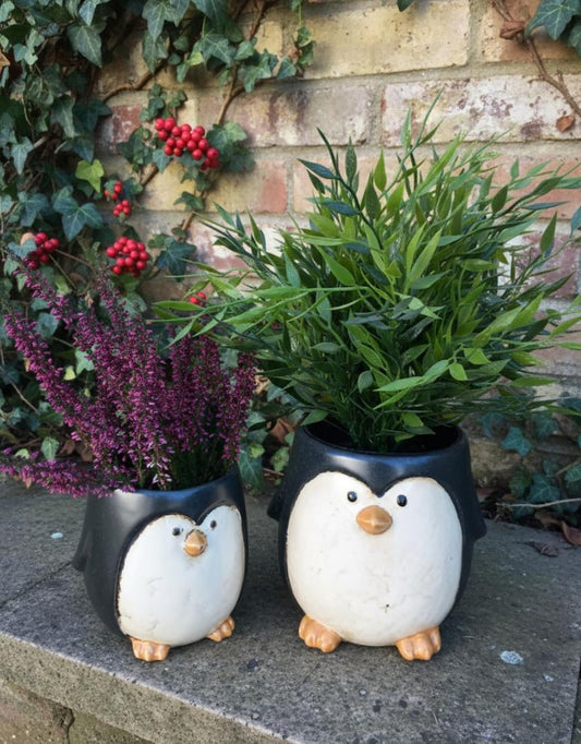 Penguin Plant Pot Cute Ceramic Animal Succulent Planter