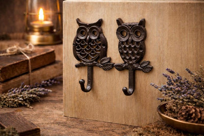 Cast Iron Owl Wall Hook – Rustic Vintage Farmhouse Coat & Key Holder