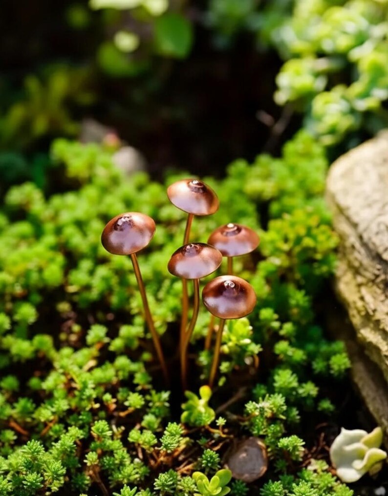Metal Mushroom Plant Stake 5 Decorative Garden Mushrooms Indoor Outdoor